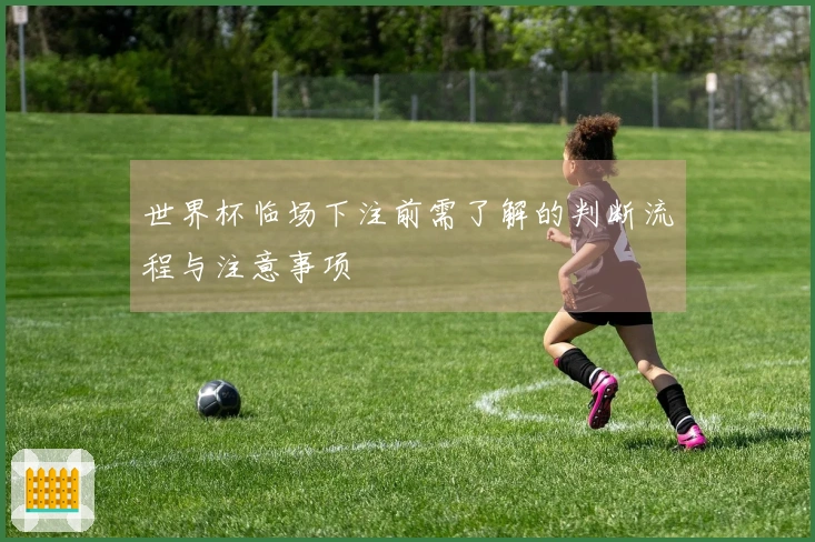 世界杯临场下注前需了解的判断流程与注意事项